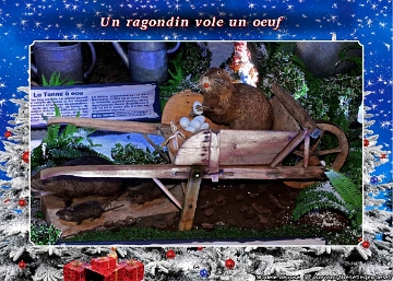 Village du Père Noël (059) Ragondins